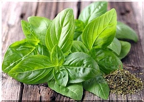 Basil for nervous people.