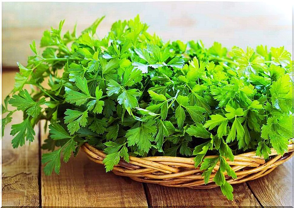 parsley