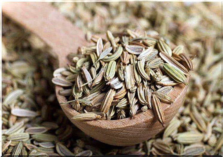 fennel seeds