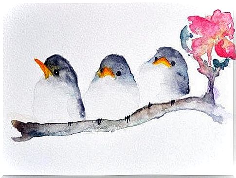 Birds sit on a branch