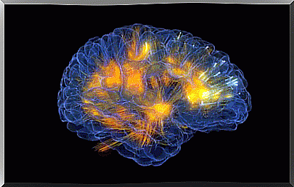 4-brain activity