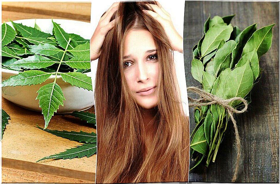 Hair treatment with rosemary