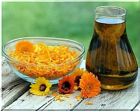 Calendula.