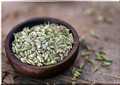 fennel seeds