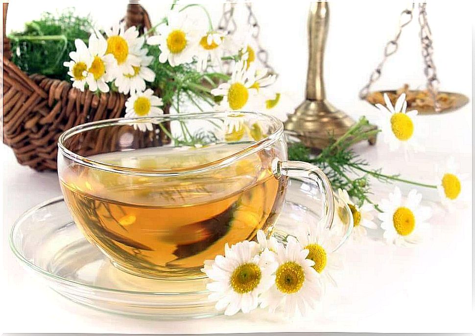 Chamomile