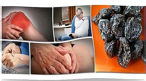 Benefits of prunes: Prevents loss of bone mass