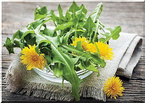 Dandelion ointment has been used for many years