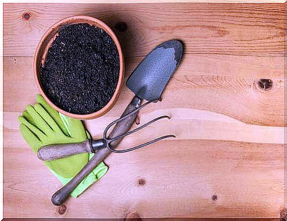 Garden tools