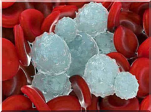 White and red blood cells.