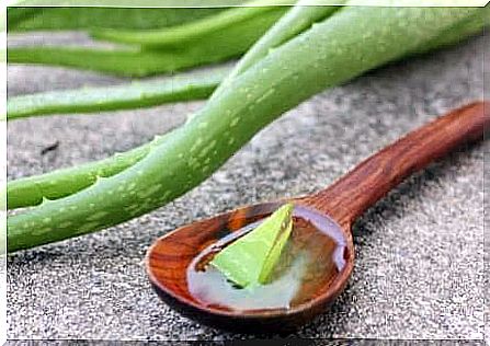 treat acne scars with aloe vera