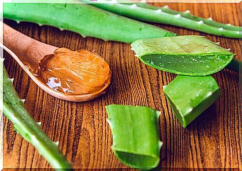 Aloe vera to revitalize the skin