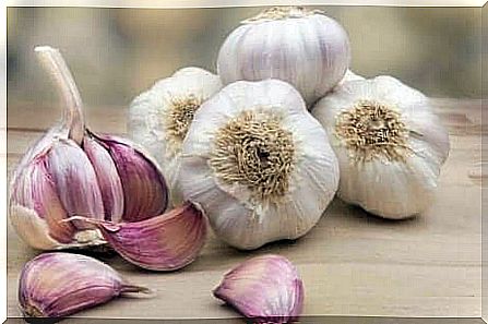 Garlic.