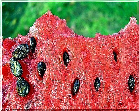 Watermelon seeds