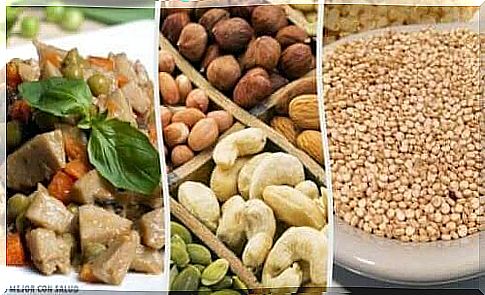 Options to replace animal protein in your diet