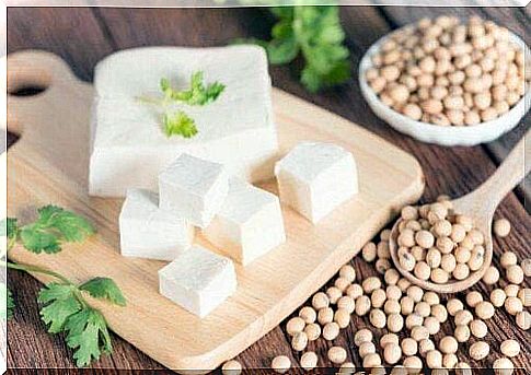 Tofu as an alternative to animal protein