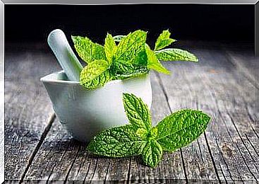 Peppermint to stop vomiting