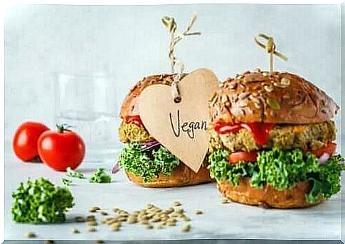 Two vegan burgers.