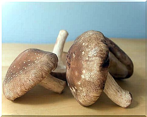 Ovarian cancer and shiitake mushrooms.