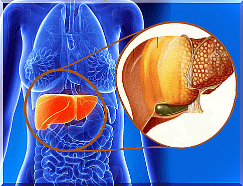 What is fatty liver disease and how can it be treated?