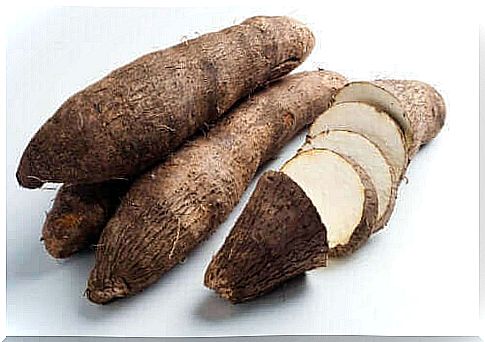 What is yam root and what are its properties?