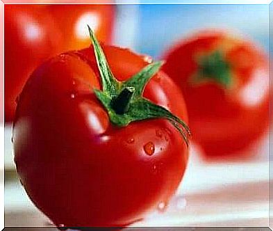 close-up of tomatoes